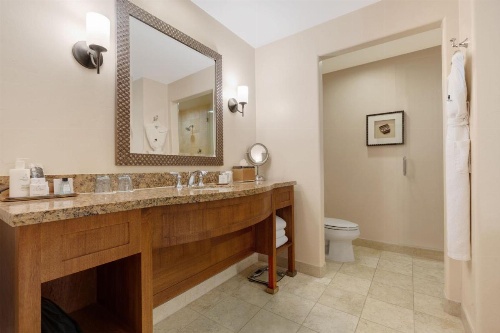 JW Marriott Tucson Starr Pass Resort & Spa image 20